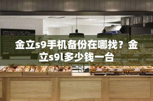 金立s9手机备份在哪找？金立s9l多少钱一台-第1张图片-星选测评