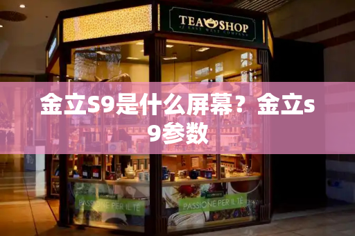 金立S9是什么屏幕？金立s9参数-第1张图片-星选测评