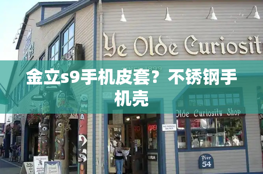 金立s9手机皮套？不锈钢手机壳