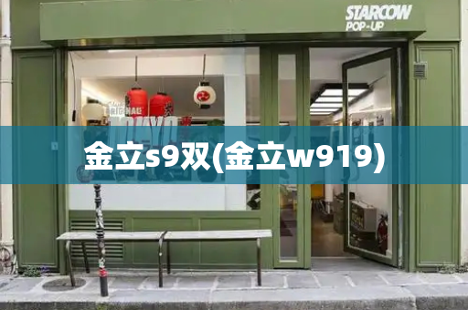 金立s9双(金立w919)-第1张图片-星选测评