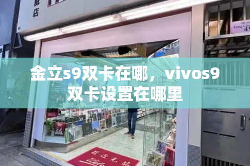 金立s9双卡在哪，vivos9双卡设置在哪里