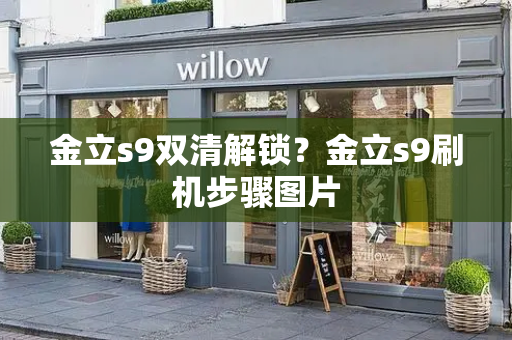 金立s9双清解锁？金立s9刷机步骤图片-第1张图片-星选测评