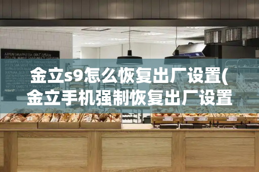 金立s9怎么恢复出厂设置(金立手机强制恢复出厂设置注意事项)-第1张图片-星选测评