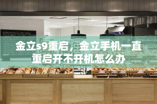 金立s9重启，金立手机一直重启开不开机怎么办-第1张图片-星选测评