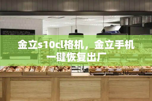 金立s10cl格机，金立手机一键恢复出厂-第1张图片-星选测评