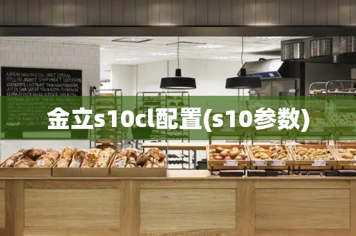 金立s10cl配置(s10参数)
