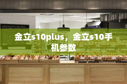 金立s10plus，金立s10手机参数-第1张图片-星选测评