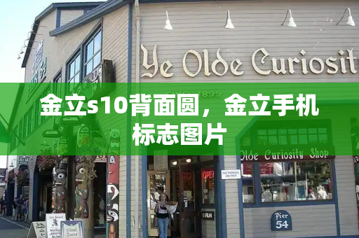 金立s10背面圆，金立手机标志图片