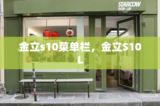 金立s10菜单栏，金立S10L