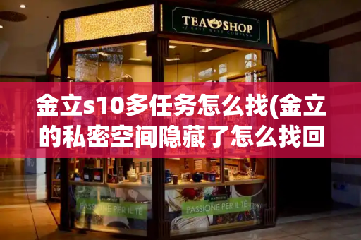 金立s10多任务怎么找(金立的私密空间隐藏了怎么找回来)