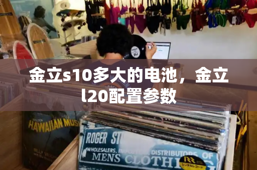 金立s10多大的电池，金立l20配置参数-第1张图片-星选测评