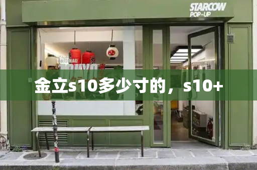 金立s10多少寸的，s10+-第1张图片-星选测评