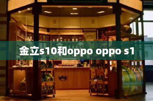 金立s10和oppo oppo s10