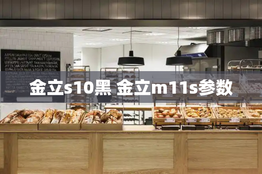 金立s10黑 金立m11s参数-第1张图片-星选测评