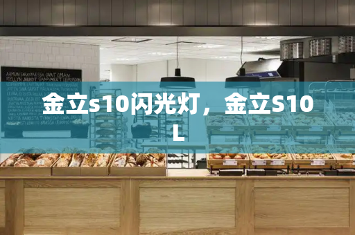 金立s10闪光灯，金立S10L