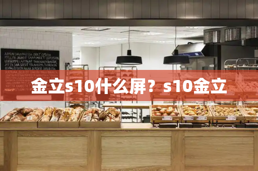金立s10什么屏？s10金立-第1张图片-星选测评