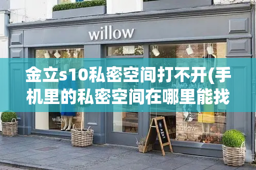 金立s10私密空间打不开(手机里的私密空间在哪里能找到)-第1张图片-星选测评