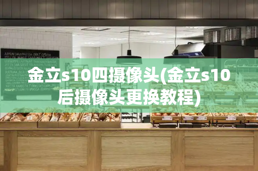 金立s10四摄像头(金立s10后摄像头更换教程)-第1张图片-星选测评