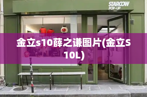 金立s10薛之谦图片(金立S10L)