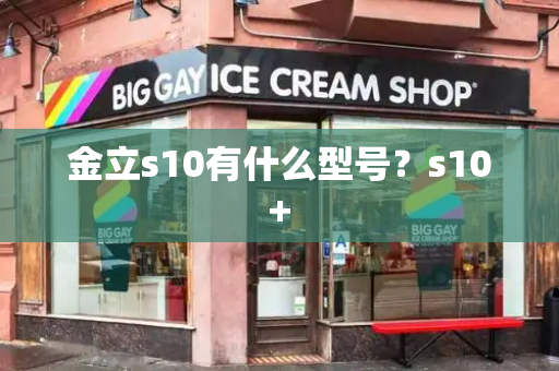 金立s10有什么型号？s10+-第1张图片-星选测评