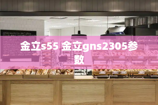 金立s55 金立gns2305参数