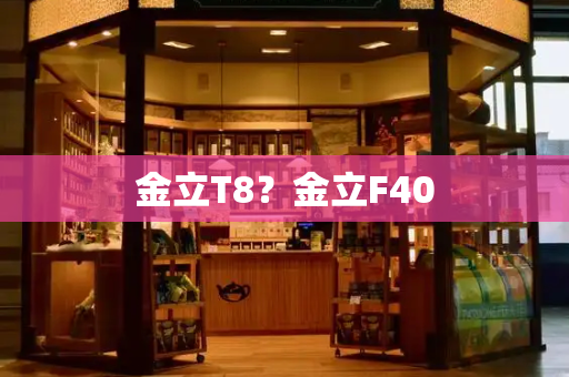 金立T8？金立F40
