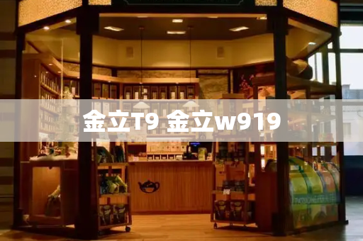 金立T9 金立w919-第1张图片-星选测评