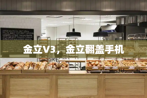 金立V3，金立翻盖手机-第1张图片-星选测评