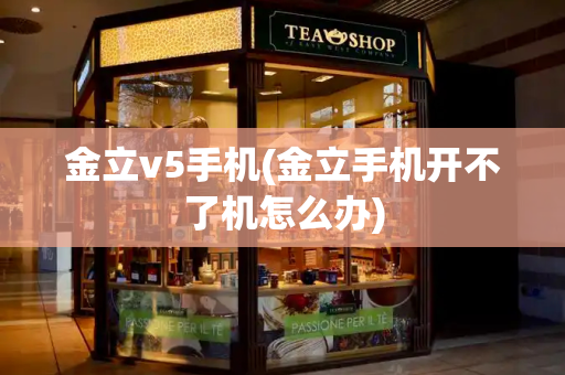 金立v5手机(金立手机开不了机怎么办)-第1张图片-星选测评