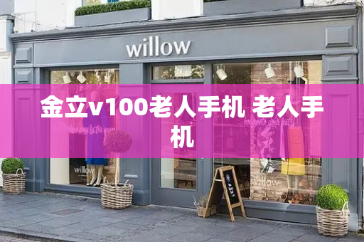 金立v100老人手机 老人手机-第1张图片-星选测评