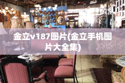 金立v187图片(金立手机图片大全集)-第1张图片-星选测评