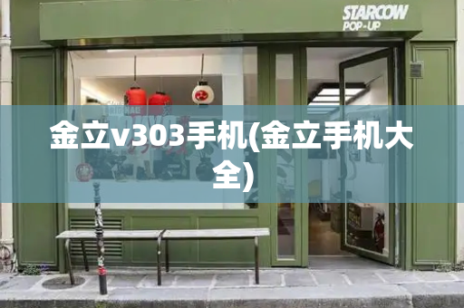 金立v303手机(金立手机大全)
