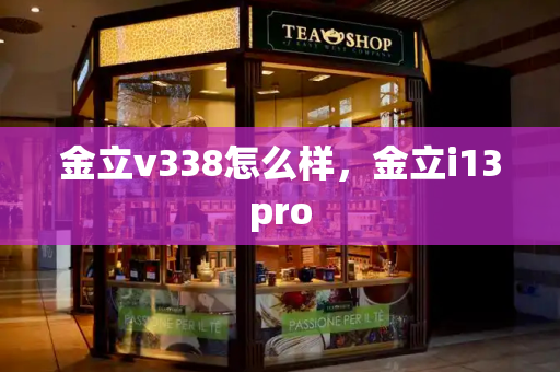 金立v338怎么样，金立i13pro-第1张图片-星选测评