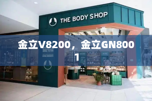 金立V8200，金立GN8001-第1张图片-星选测评