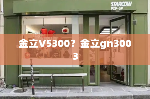 金立V5300？金立gn3003