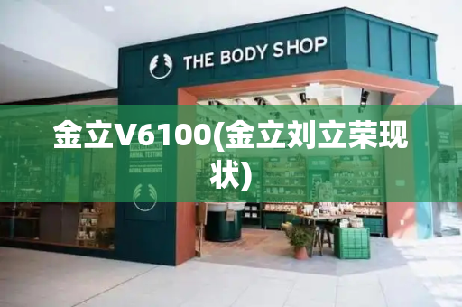 金立V6100(金立刘立荣现状)-第1张图片-星选测评