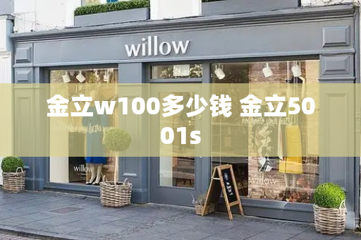 金立w100多少钱 金立5001s-第1张图片-星选测评