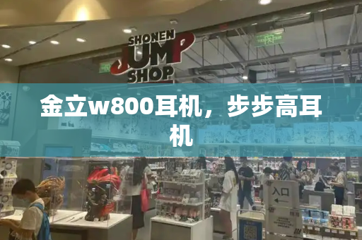 金立w800耳机，步步高耳机-第1张图片-星选测评