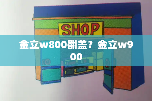 金立w800翻盖？金立w900-第1张图片-星选测评