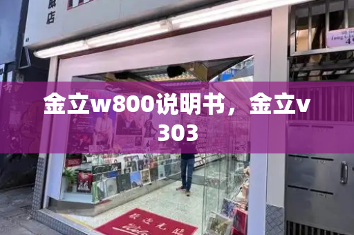 金立w800说明书，金立v303