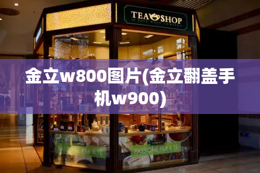 金立w800图片(金立翻盖手机w900)
