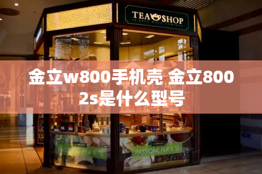 金立w800手机壳 金立8002s是什么型号-第1张图片-星选测评