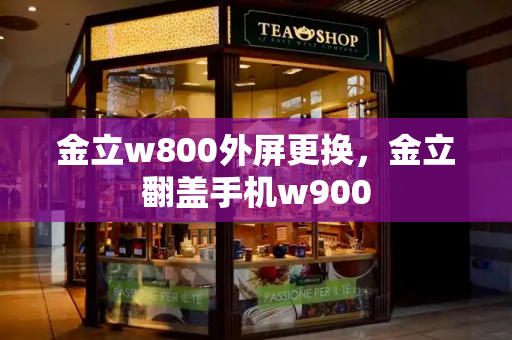 金立w800外屏更换，金立翻盖手机w900-第1张图片-星选测评