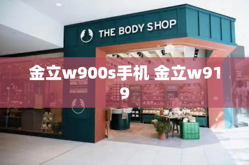 金立w900s手机 金立w919