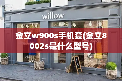 金立w900s手机套(金立8002s是什么型号)