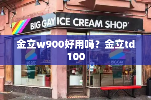 金立w900好用吗？金立td100-第1张图片-星选测评