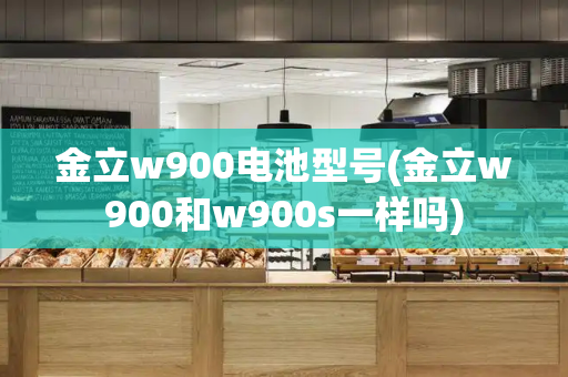金立w900电池型号(金立w900和w900s一样吗)-第1张图片-星选测评