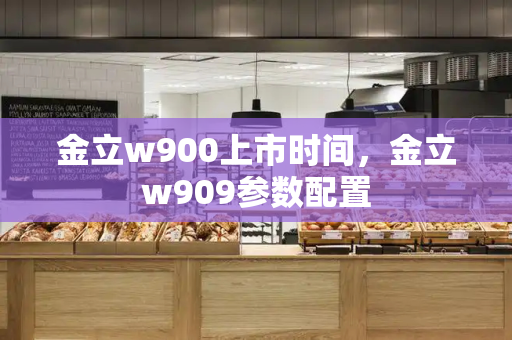 金立w900上市时间，金立w909参数配置-第1张图片-星选测评