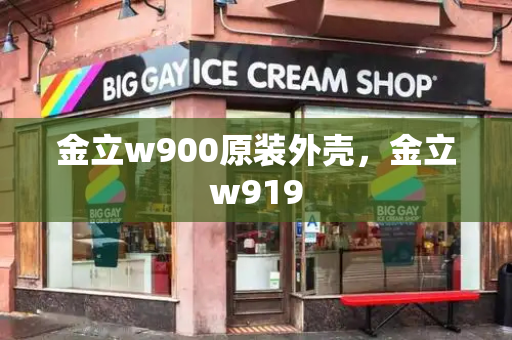 金立w900原装外壳，金立w919-第1张图片-星选测评