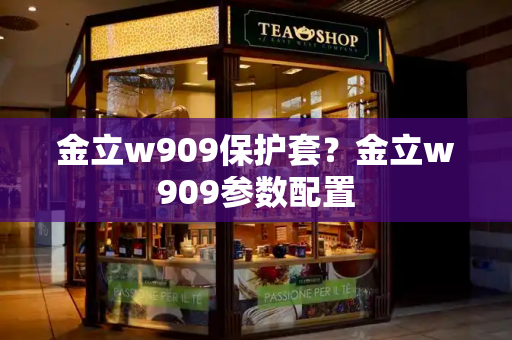 金立w909保护套？金立w909参数配置-第1张图片-星选测评